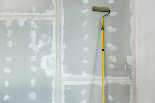 Best Mold Odor Removal Services  in Oak Hill, TN
